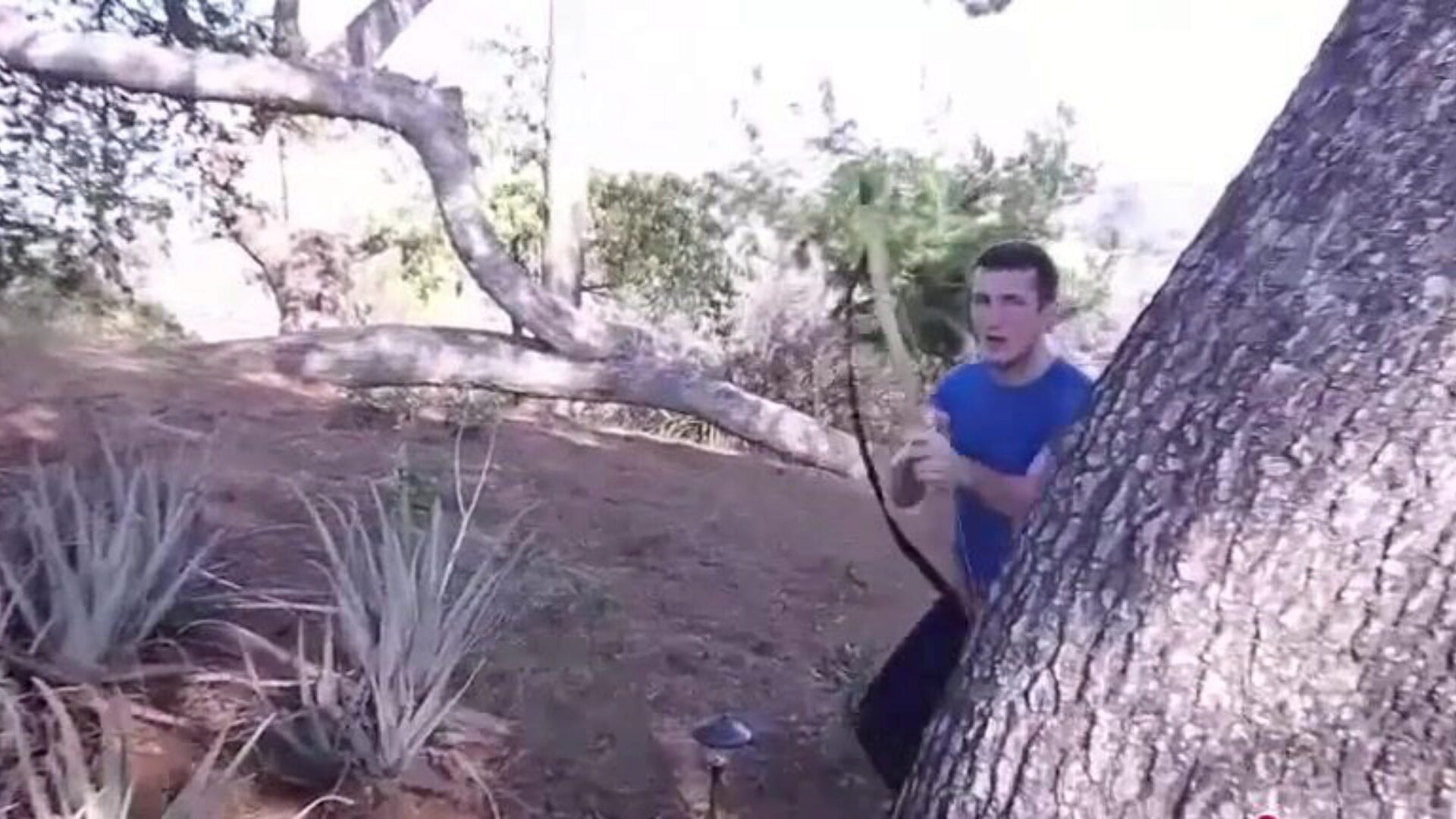 Moist chunky booty Lola Foxx gives an awesome ball licking an sucking Large arse Lola Foxx tossed on her most awesome Thanksgiving costume Her visitor is willing to get the festivities began and Lola get down on her knees and down to guzzling the entire pillar Her frantically constricted rosy cunt clutches into the 10-Pounder and as her large wazoo cheeks engulf the rest.