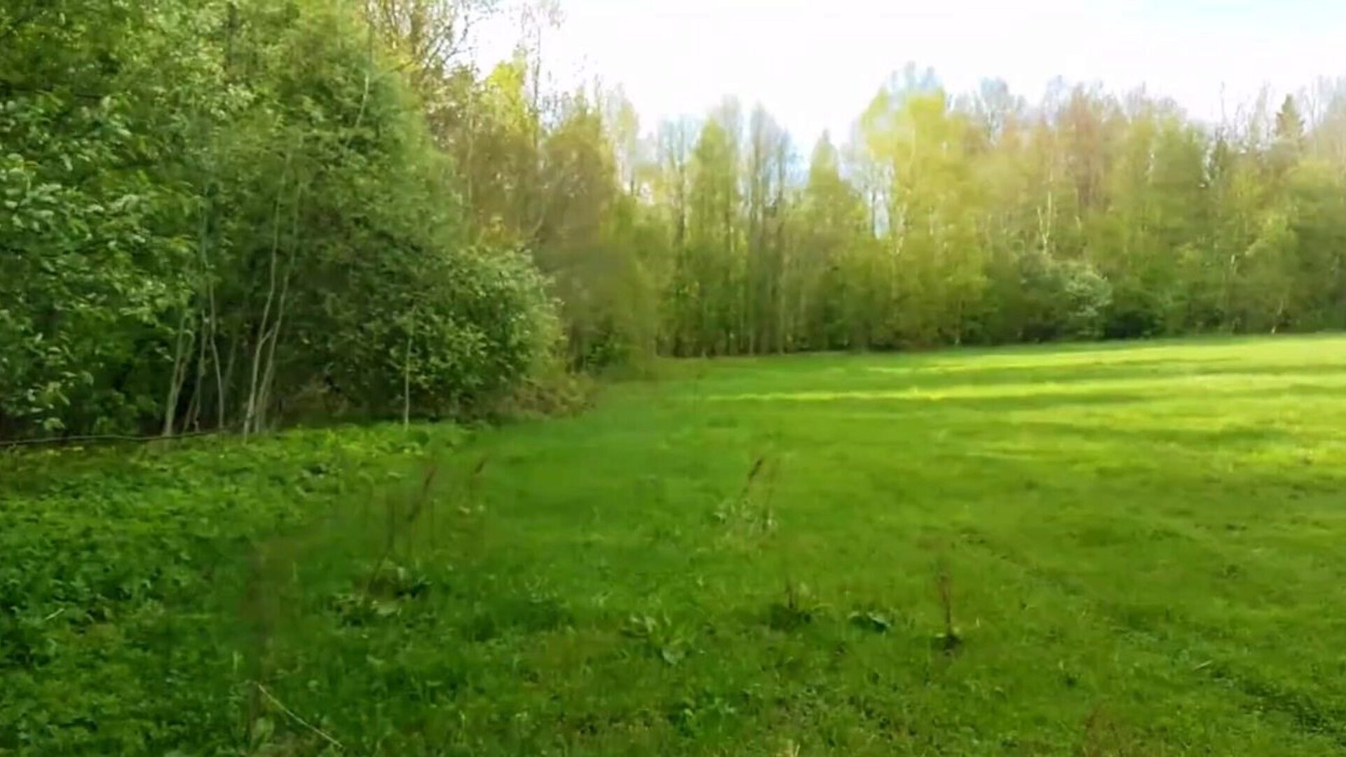 STEPBROTHER FUCKS AND CUMS ON SISTER'S STOCKINGS AND MOUTH - PLAYSKITTY 4K!